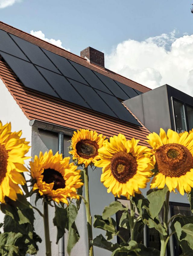 Photovoltaikanlage steht vor einem Haus
